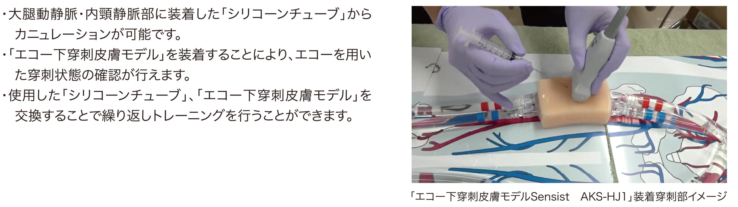 補助循環シミュレーター - MERA 泉工医科工業株式会社 ―医療